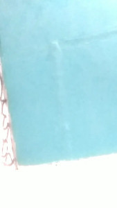Ivonechile69