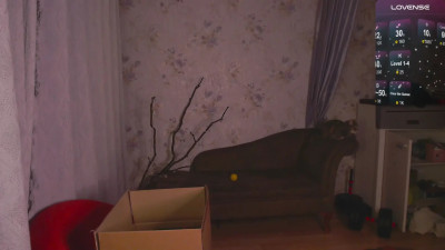 Watch blissful_muse recorded live streams from Chaturbate on 2025/03/27, Cam Archive