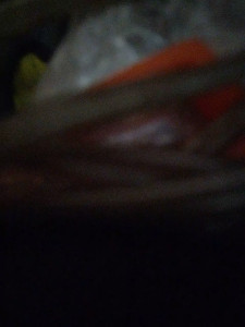 Notanother154