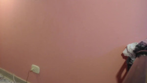 bunnyemilyrose36
