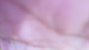 Yourfavetits