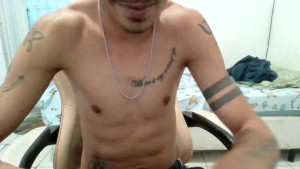 arielnslv